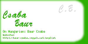 csaba baur business card